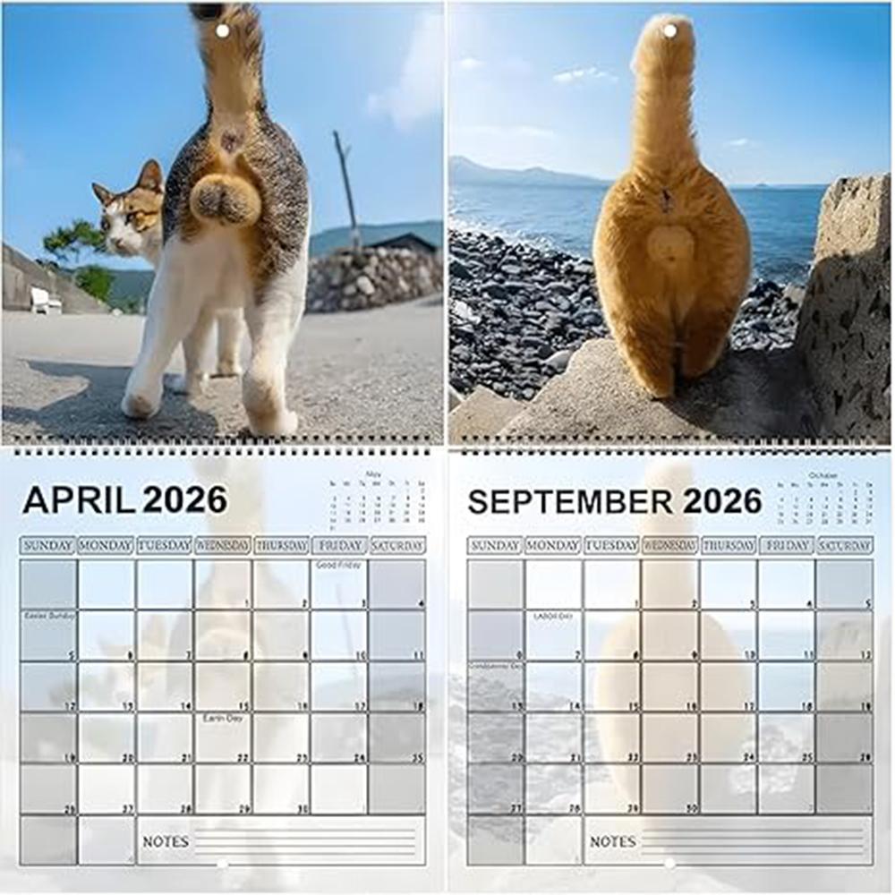2026 Cats Buttholes Wall Calendar - Hilarious Cat Calendar A Fun Novelty Item For Cat Enthusiasts And Gift Seekers Home Decor
