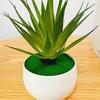 Gladiolus Pvc Realistic Succulent Flower Pot Plastic Craft For Living Decor Room