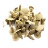 Toyota-Compatible Nylon Rivet Car Clip for Floor Sound Insulation