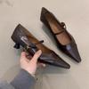 Retro Design Sense Splicing Single Shoes Women's 2025 Spring and Autumn New Versatile Thick Heel Pointed One-word Buckle Temperament Flat Shoes
