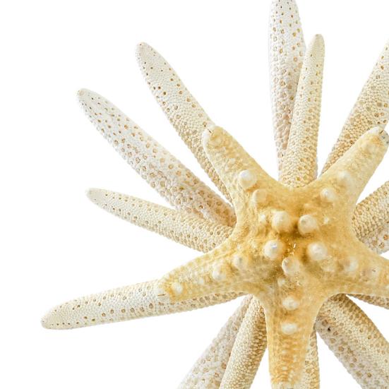 Hvězdice Špička na strom Plážová špička na vánoční stromek Ornament na vrchol stromu s oceánskou tématikou pro vánoční domácí párty dekoraci