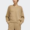 Adidas Originals CO Crew Sweatshirt Women's Hemp HC0304