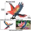 Model Wildlife Animal Solid Plastic Parrot And Hornbill Figures For Gift Kids