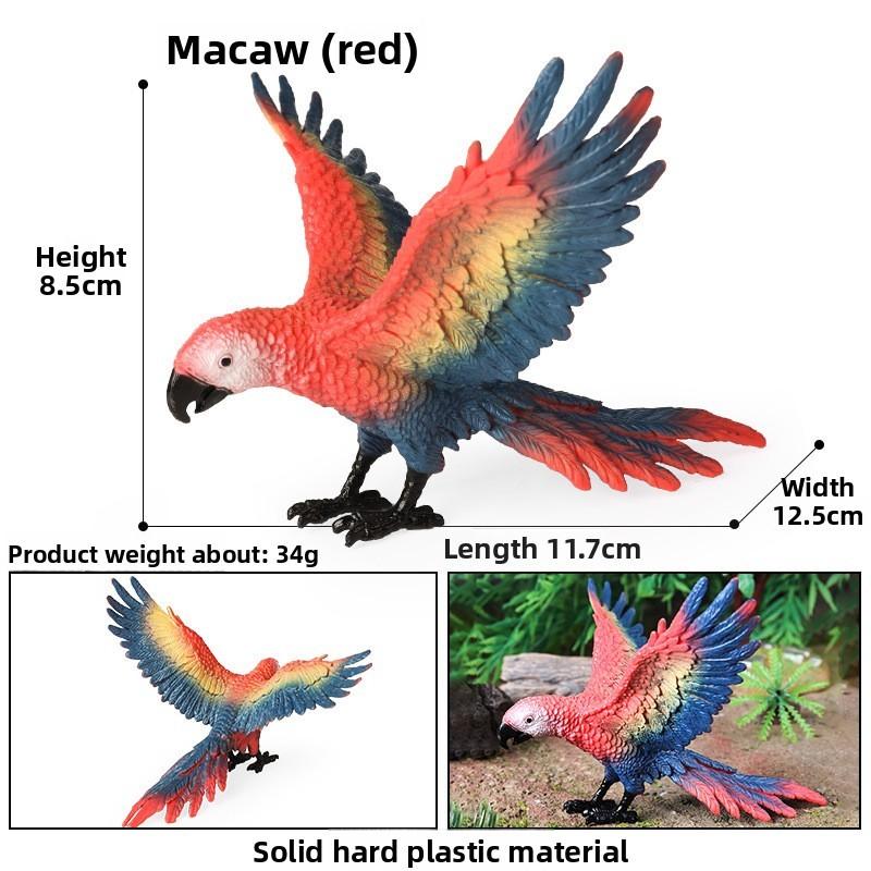 Animal Model Wildlife Solid Plastic Parrot And Hornbill Figures For Kids Gift