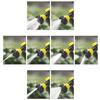 Multifunctional Foam Gun for Car Washing Garden Patio Flowers Plants Watering Pets Showering Durable Water Hose Nozzle