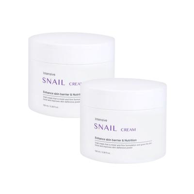 (2ea) Foodaholic Intensive Snail Cream 100ml/Moisture Cream Barrier Strengthening Wrinkle Improvement High Moisture