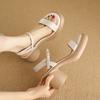 Stepping on shit feeling thick-soled open-toed sandals women's 2025 new summer word belt small thick heel high heel women's shoes