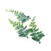 Green Plant Leaf Wedding Wrist Corsage & Hat Decoration