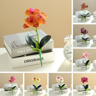 Useful Simulation Phalaenopsis Not Withered Luxury Decorate