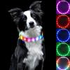 Wiederaufladbares LED-Leuchtendes Hundehalsband und Leine