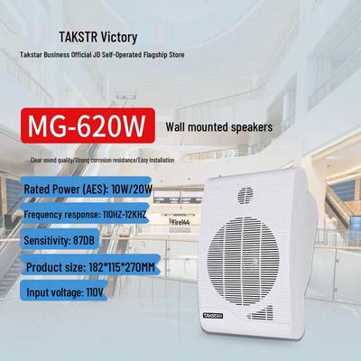 TAKSTAR MG-620W Hochwertiger Wandlautsprecher (CN-Version)