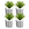 4 Pieces Aquarium Hydroponics Planting Holder Aquarium Plant Pots Stable Fish Tank Plant Pots Water Feature Decoration