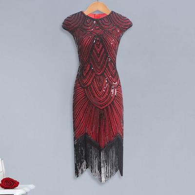 Women Sequin Dress Vintage Prom Party Evening Dress Sleeveless Round Neck Back Zipper Closure Fringed Hem Sheath Slim Fit Lady Dress