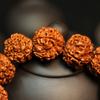 Natural Wood Beads Bracelet Buddha Vajra Bodhi Religion Walnut Beads Bracelet for Jewelry Men Nepal Tibetan Prayer Bracelets