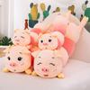 Cute Caterpillar Pig Plush Toy Large Long Striped Pig Piglet Doll Ragdoll Gift