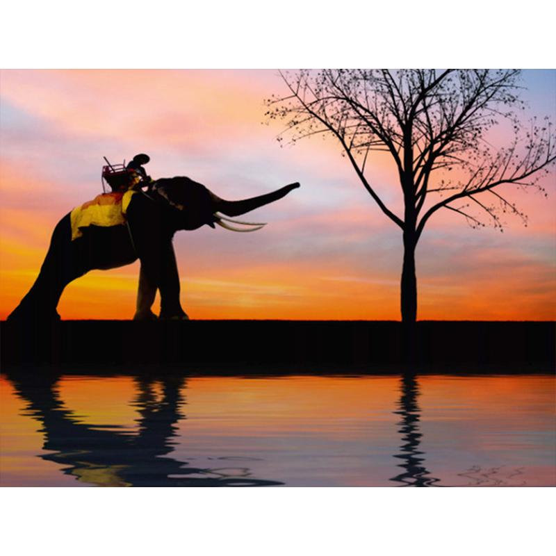 Diamantmaling Løvetann Full Firkant Mosaikkkunst Solnedgang Diamantbroderi Landskap Bilde av Rhinestone Hjemmedekor