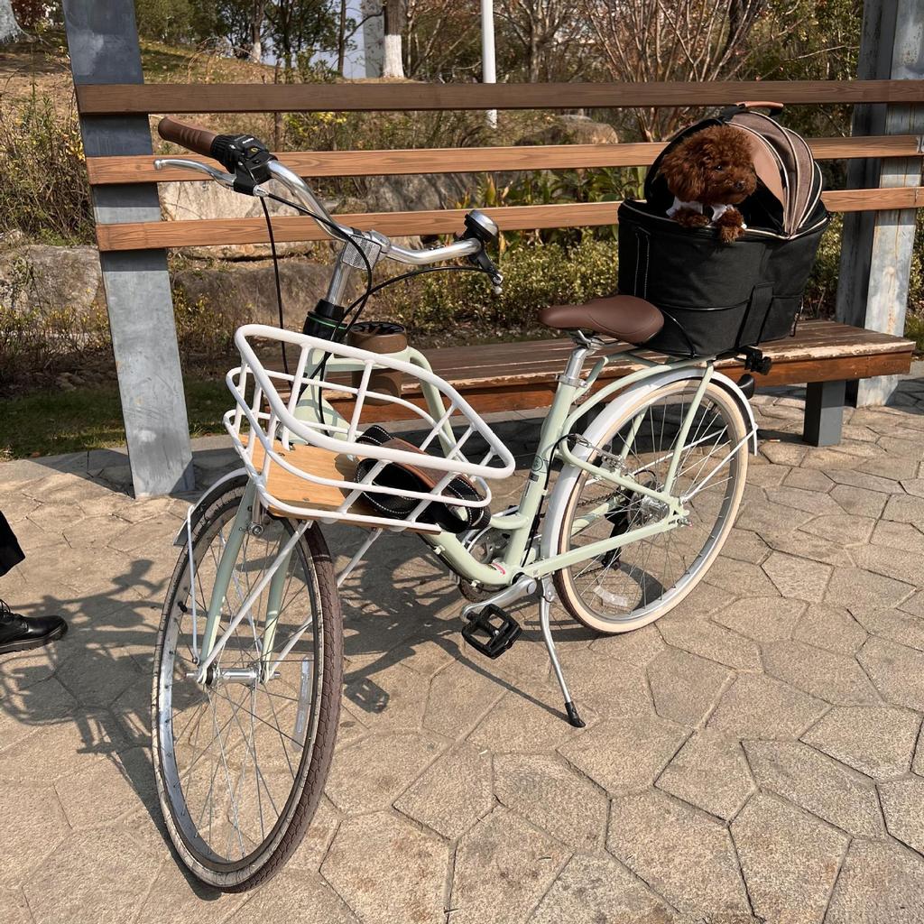 Large Capacity Foldable Blue Canvas Pet Carrier for Bicycle and Scooter