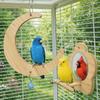 Bite Resistant Bird Flower Mirror Toy Moon-shaped Parrot Swing Stand  For Small Parrot