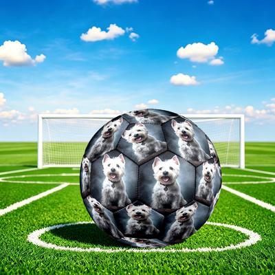 Fútbol – Pelotas de fútbol