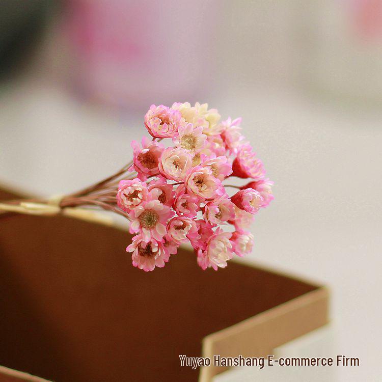 

Помада ручной работы с сухоцветами: Включает 30 звездных цветов, мелкие хризантемы и ромашки.