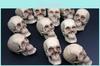 Mini Artificial Skull For Anatomical Scenes Perfect For Home Decor And Gifts