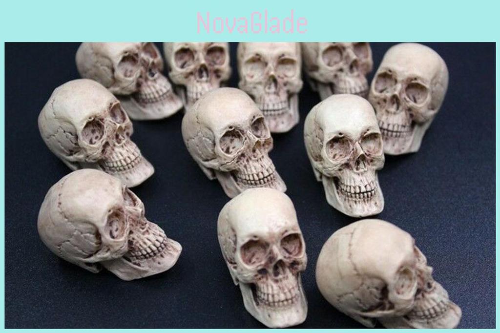 Mini Artificial Skull For Anatomical Scenes Perfect For Home Decor And Gifts
