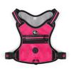 Double layer explosion-proof pet dog chest strap, anti escape dog strap, reflective vest, medium and large dog chest strap