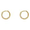 Cubic Zircon Earrings Circle Niche Unique Earrings Female Gold High-level Sense of Ear Buckle Elegant Simple Lightweight Minimalist Hoop Earrings