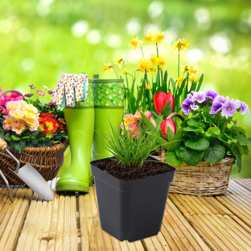 Pots For Seedlings Starter Pots 50pcs Seedling Cups Square Black Reusable Pot With Drainage Holes Gardening Kit Nursery Pot