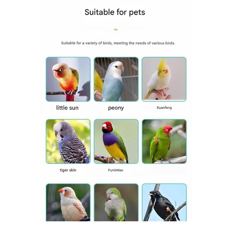 Automatic Water Feeder Water Bottle for Parrots with Gravities Pin Mechanism Watering Supply for Small Bird Cage Use