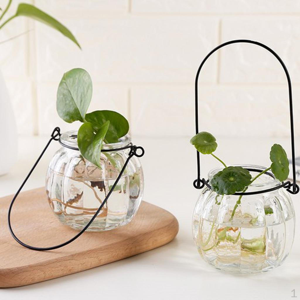 

Hanging Plants Pumpkin Shape Glass Vase Nursery Pot home and garden Terrarium Decor