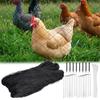 Garden Bird Net,  Bird Mesh for Chicken Houses, Orchards, and Vegetable Plots,Plant  Netting for Fruit Trees and Garden Beds