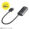 Sanwa Supply HDMI to DisplayPort Adapter (4K/60Hz) AD-HD31DP