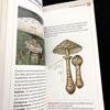 [USED] Two Mushroom Encyclopedias: "Funghi" and "Funghi Del Bosco" In Italian