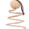 Funny Spring Toy Scratch Teaser Toys for Kitty Indoor Kitten Training Playing