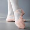 Bozong Stretch Fabric Breathable Dance Shoes