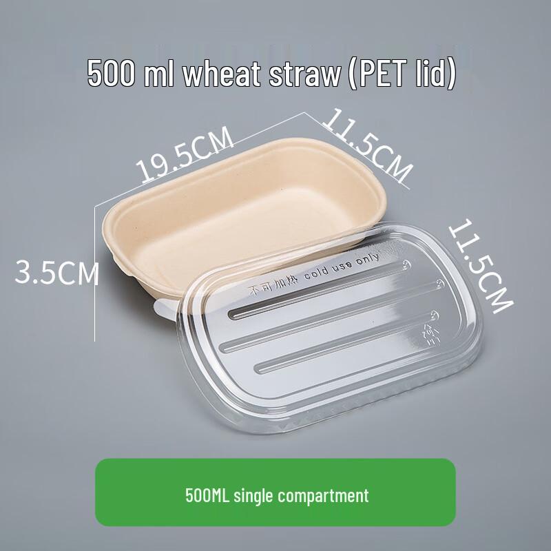 Biodegradable Pulp Meal Box with Transparent Lid 500ml