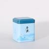 European Pastoral Style Mini Iron Box Easy-Carry Tin Cans Portable Tea Packaging Box