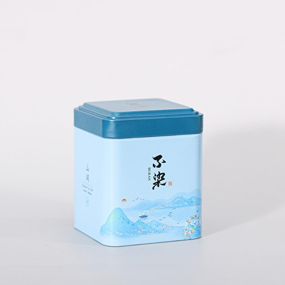 European Pastoral Style Mini Iron Box Easy-Carry Tin Cans Portable Tea Packaging Box