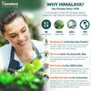 Himalaya Wellness Reine Kräuter Amalaki Immunität Wellness 60 Tabletten Stärkt das natürliche Abwehrsystem Hautgesundheit