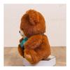 Take-off Plush Bear Popoli Ribbon S Brown, Retro Showa Style, Large Ribbon, Cute, Height 20xWidth 15xDepth 12cm