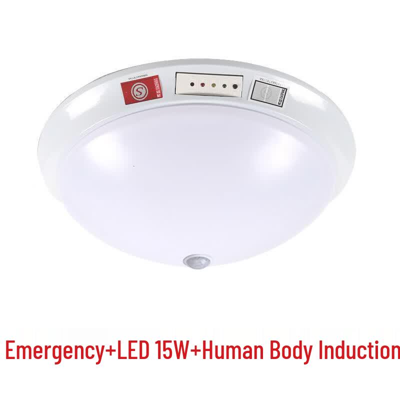 Smart LED Motion Sensor Ceiling Light with Emergency Function