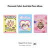 Kpop Photocard Collect Book Mini Photo Album 40 Pockets