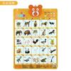 Early Childhood Education For Children Learning Pinyin Understanding Chinese Characters Crystal Sound Wall Charts Toys