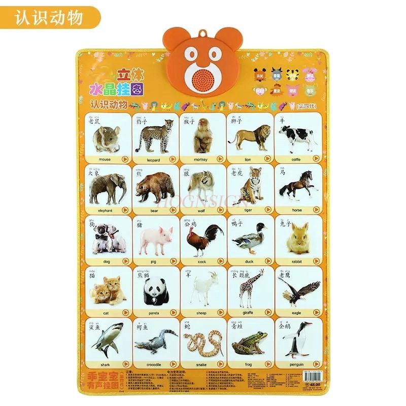 Early Childhood Education For Children Learning Pinyin Understanding Chinese Characters Crystal Sound Wall Charts Toys