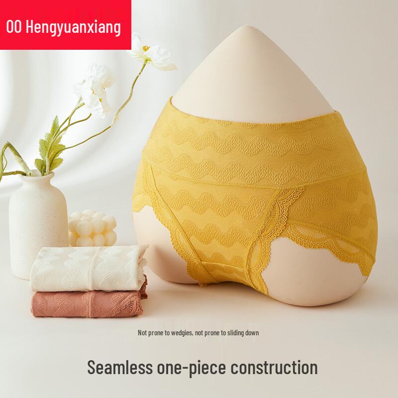 Hengyuanxiang Women's High-Waist Seamless Lace Briefs 3-Pack