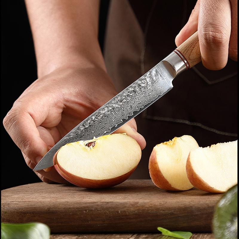5'' Utility Knife Professional Damascus Japanese Kitchen Knife Sharp Blade Peeling Cleaver for Fish Meat Cutting Wood Handle