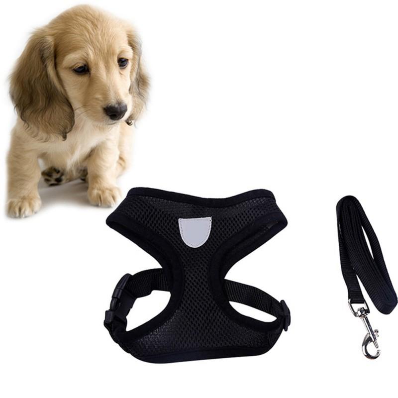 Pet Cat Dog Harness Vest with Leash Puppy Safety Walking Vest Strap Set