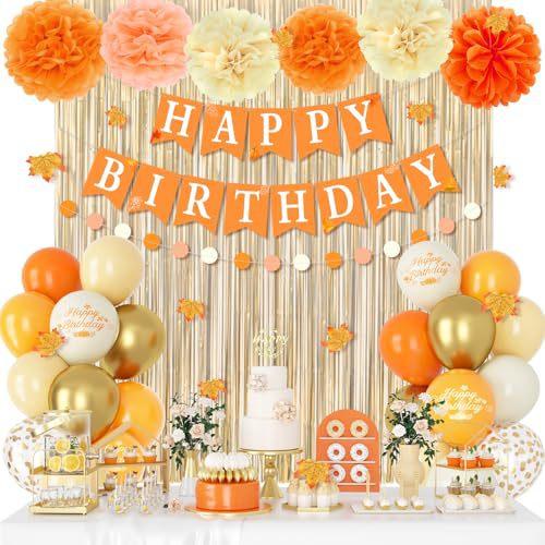 Birthday Party Decorations Rain Curtain Background Flag Cake Power Strip Paper Flower Ball Aluminum Film Balloon Set