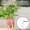 20Pcs Terracotta Pot Hanger Hook Stainless Steel Flower Pot Holder Clip Anti-Rust Plant Hanger Wall Clip Gardening Accessories